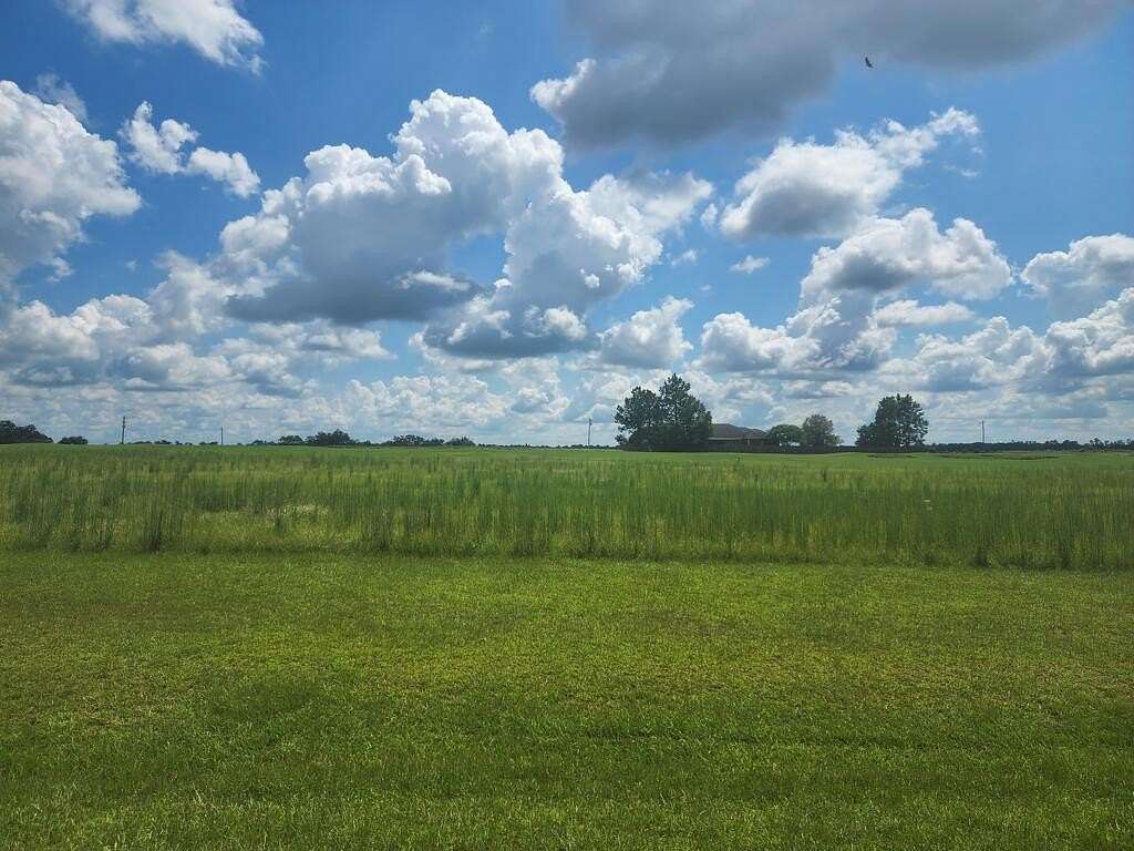 0.95 Acres of Residential Land for Sale in Colquitt, Georgia