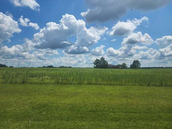 0.95 Acres of Residential Land for Sale in Colquitt, Georgia