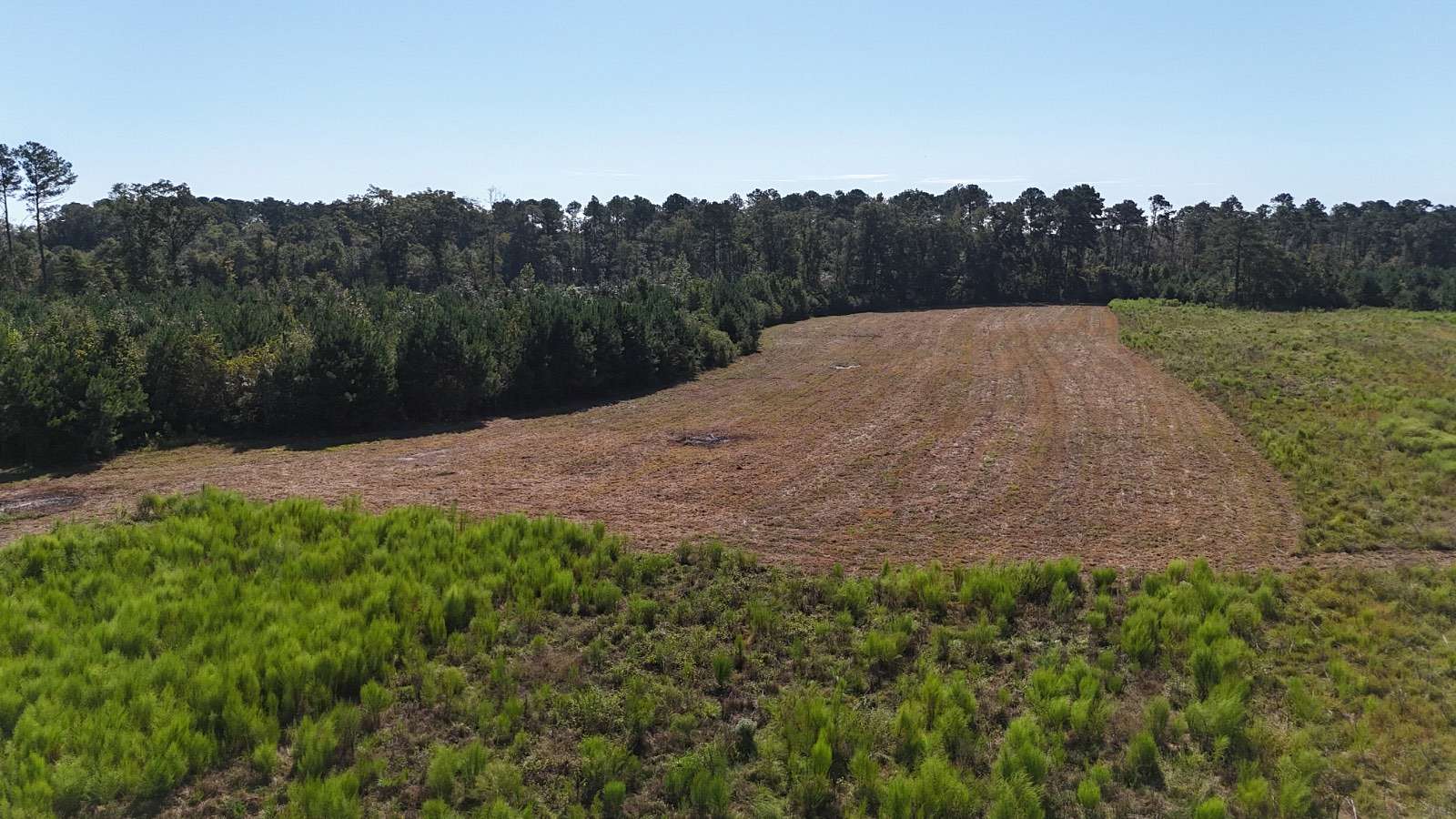12 Acres of Land for Sale in New Brockton, Alabama