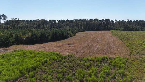 12 Acres of Land for Sale in New Brockton, Alabama
