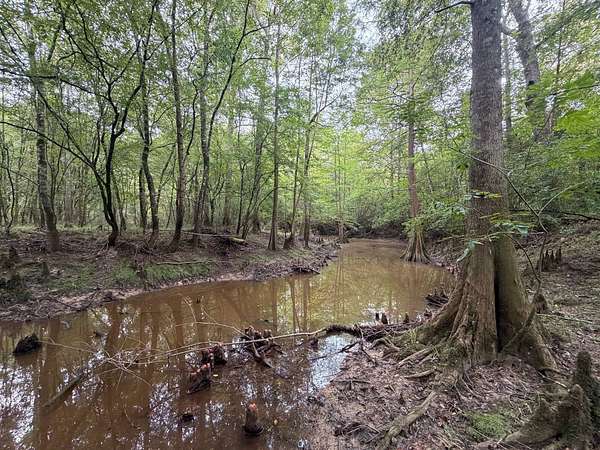 40 Acres of Recreational Land for Sale in Troy, Alabama