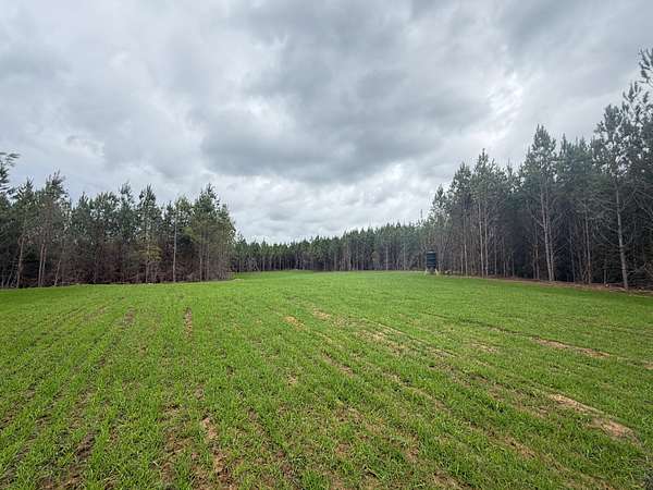160 Acres of Recreational Land for Sale in Dozier, Alabama