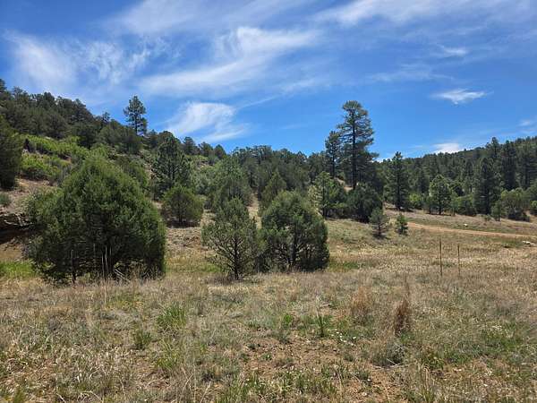 15 Acres of Land for Sale in Weston, Colorado