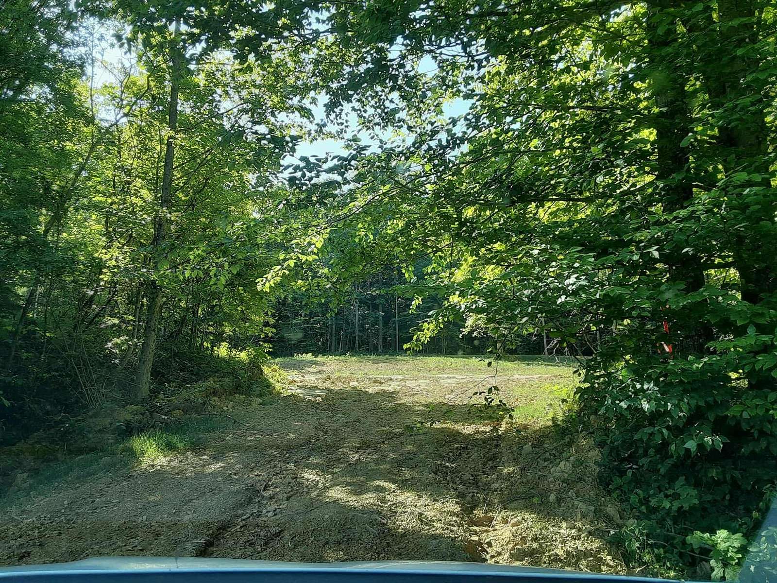 11.3 Acres of Recreational & Residential Land for Sale in Dunmor, Kentucky