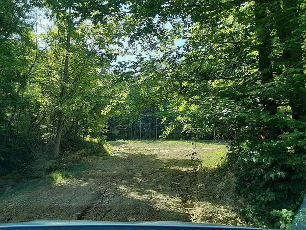 11.3 Acres of Recreational & Residential Land for Sale in Dunmor, Kentucky