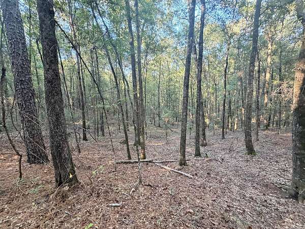 13.3 Acres of Recreational Land for Sale in Goshen, Alabama