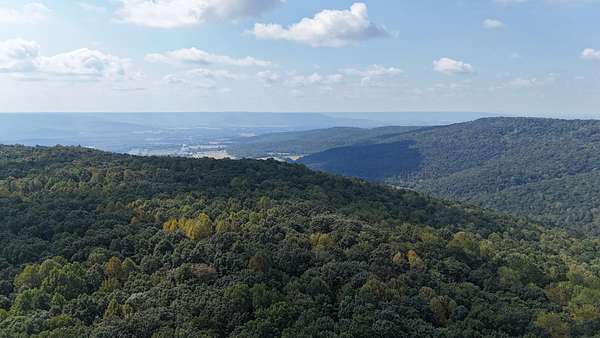 99.7 Acres of Recreational & Residential Land for Sale in Altamont, Tennessee