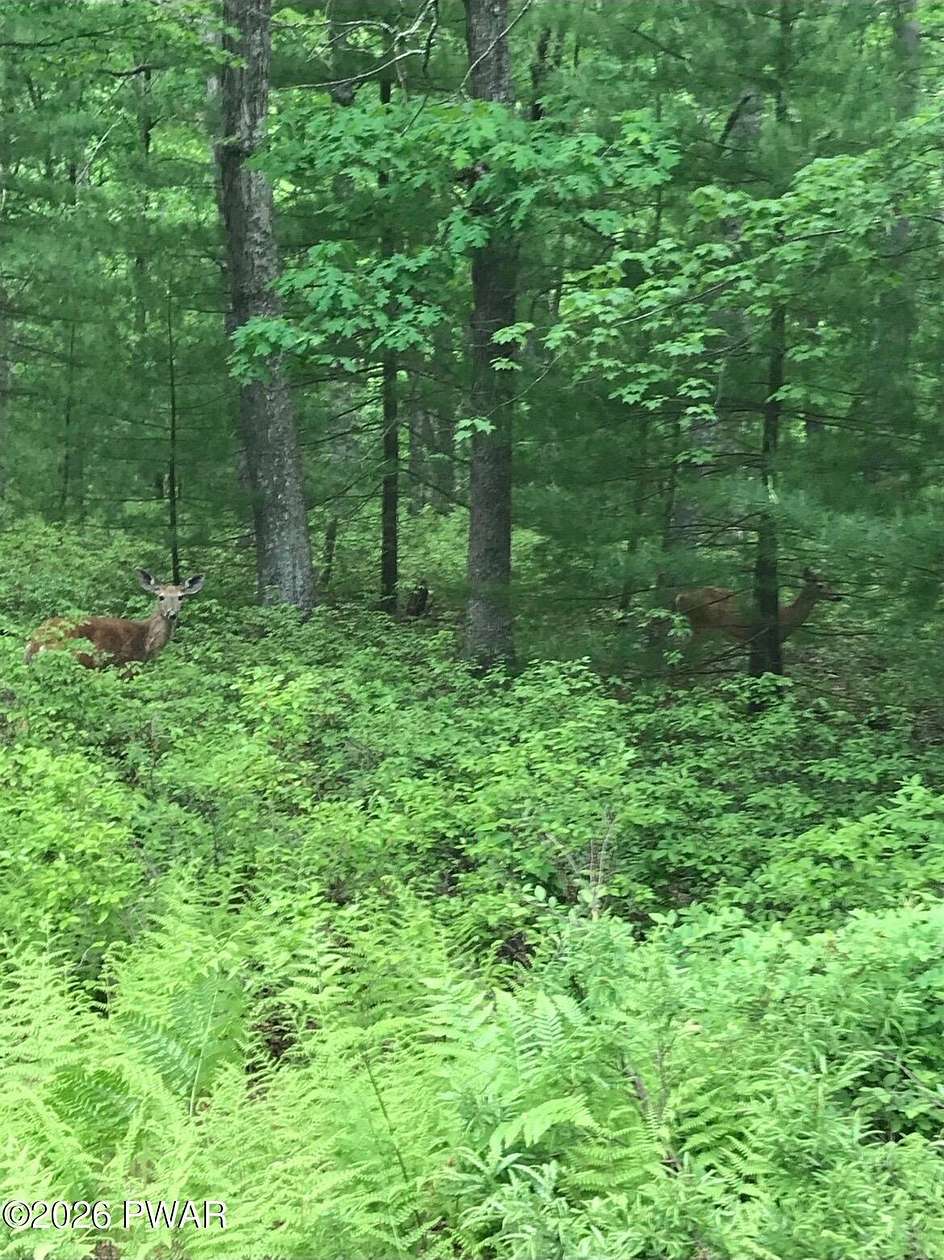 1.79 Acres of Residential Land for Sale in Dingmans Ferry, Pennsylvania