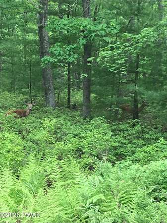 1.79 Acres of Residential Land for Sale in Dingmans Ferry, Pennsylvania