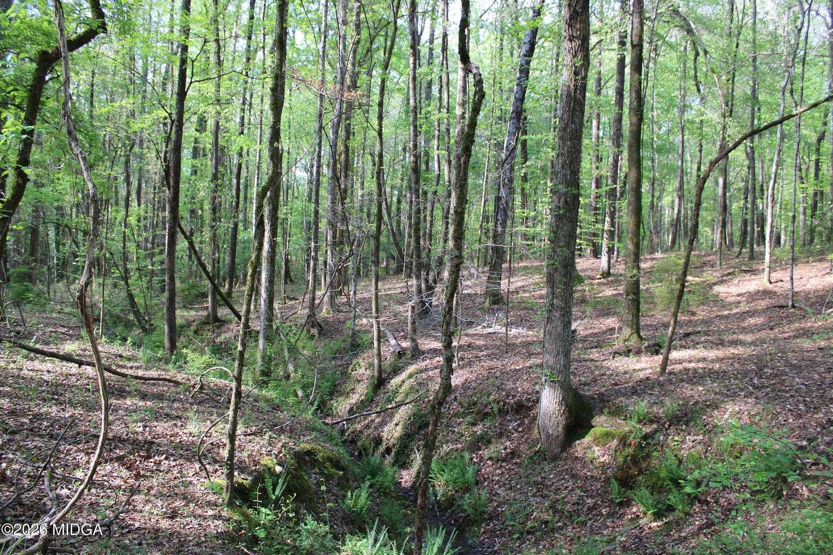 120 Acres of Recreational Land for Sale in Barnesville, Georgia