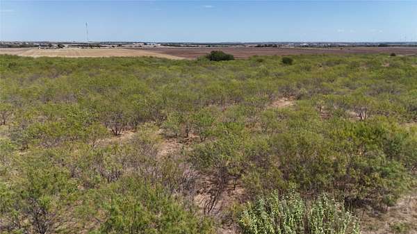 13 Acres of Land for Sale in Abbott, Texas