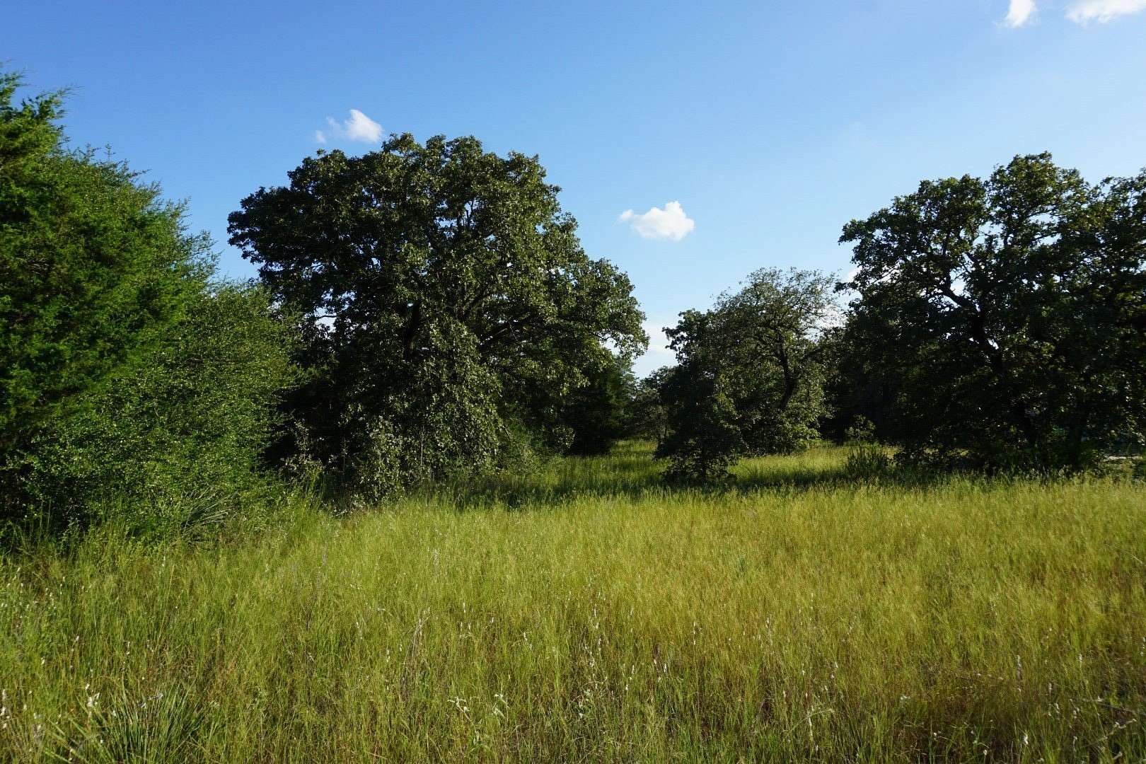 3 Acres of Land for Sale in Athens, Texas