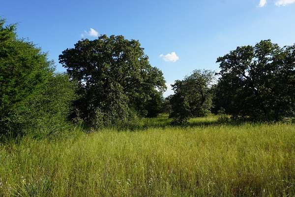 3 Acres of Land for Sale in Athens, Texas