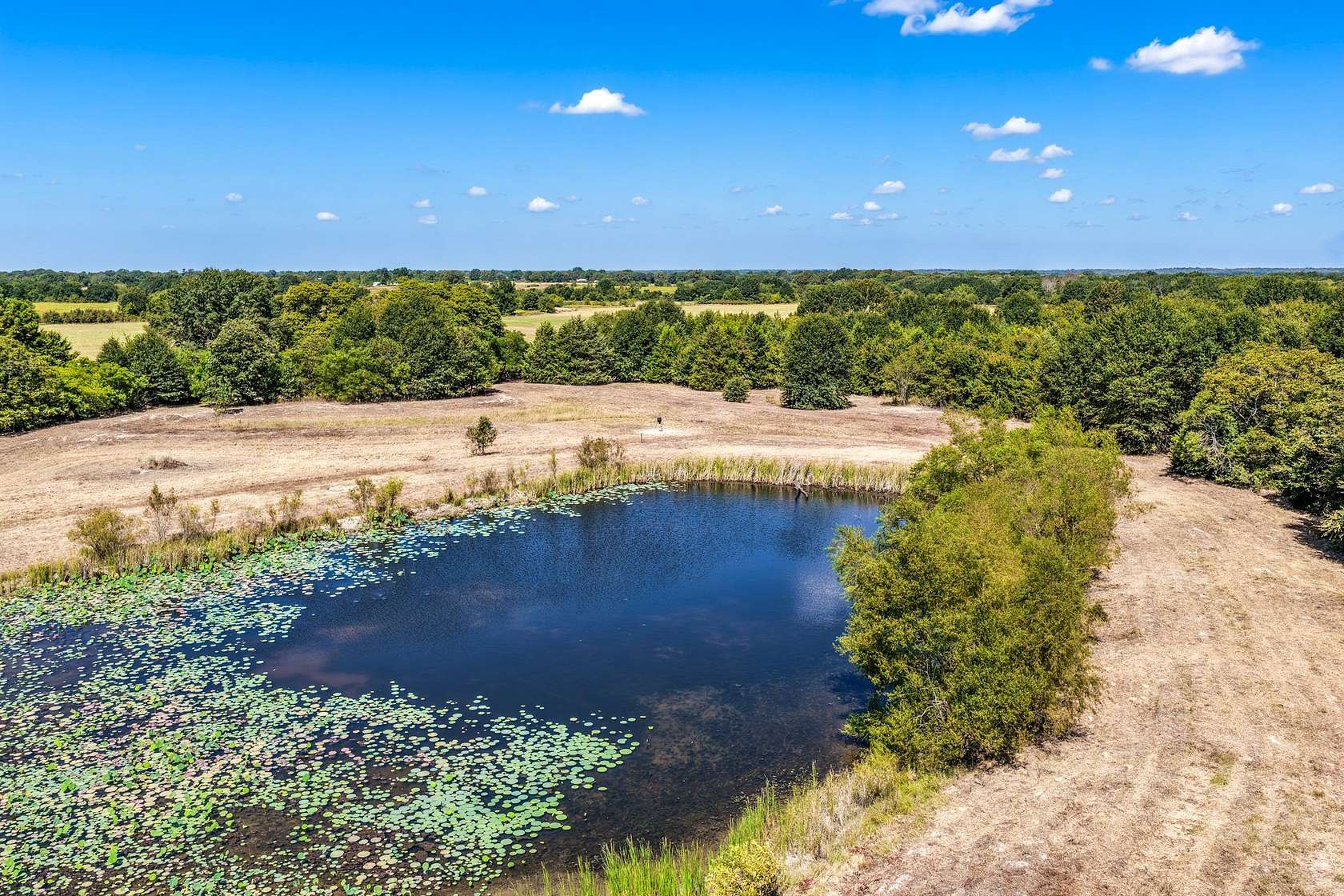 178 Acres of Recreational & Residential Land for Sale in Arthur City, Texas