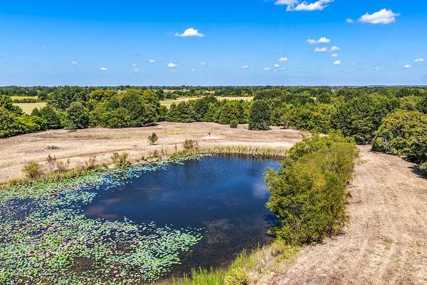 178 Acres of Recreational & Residential Land for Sale in Arthur City, Texas
