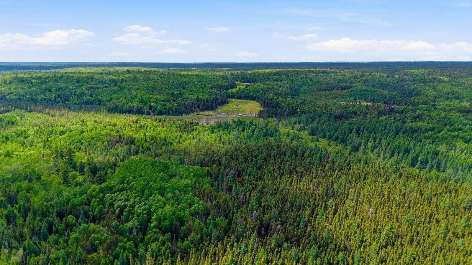 40 Acres of Land for Sale in Cook, Minnesota