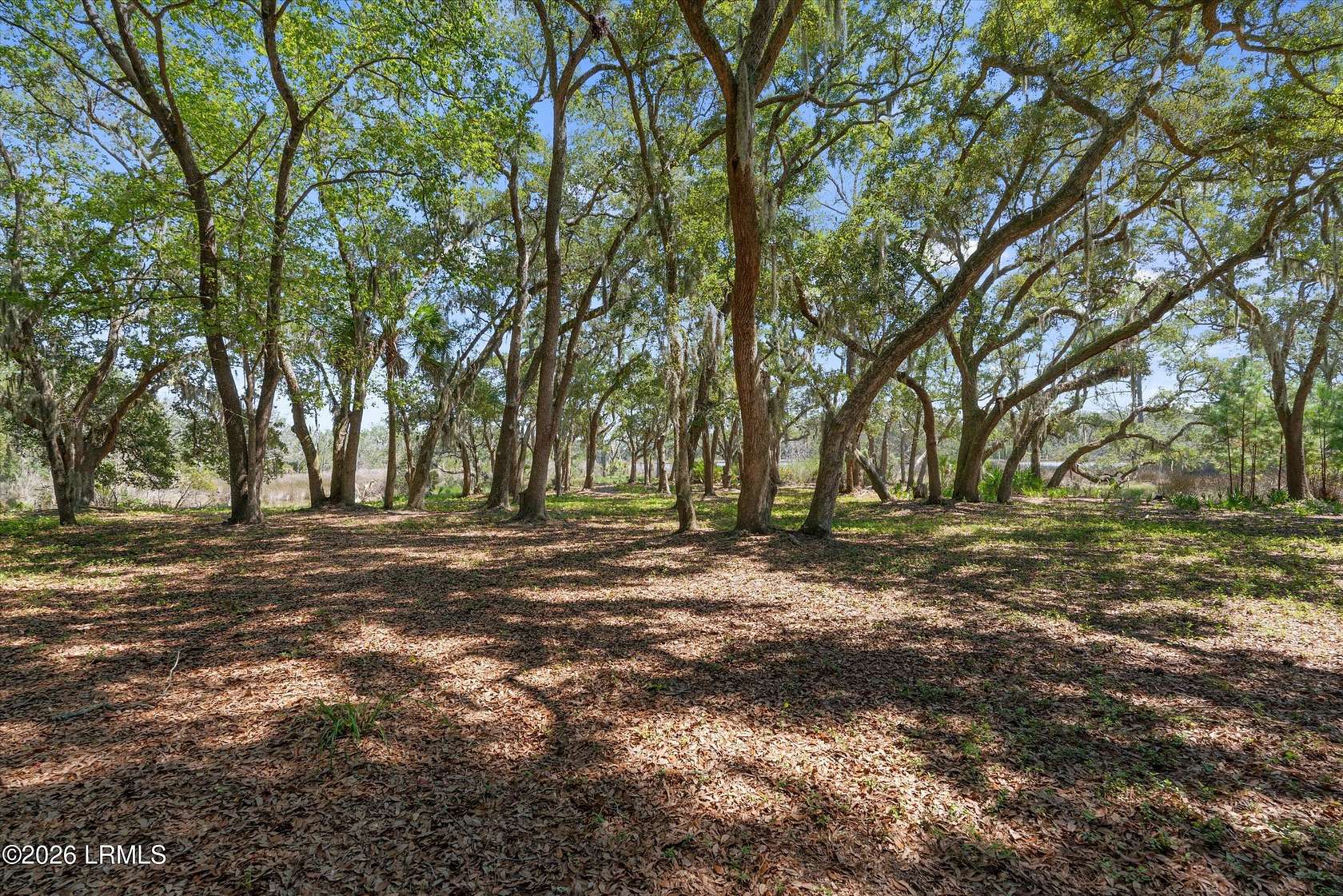1.37 Acres of Residential Land for Sale in Saint Helena Island, South Carolina