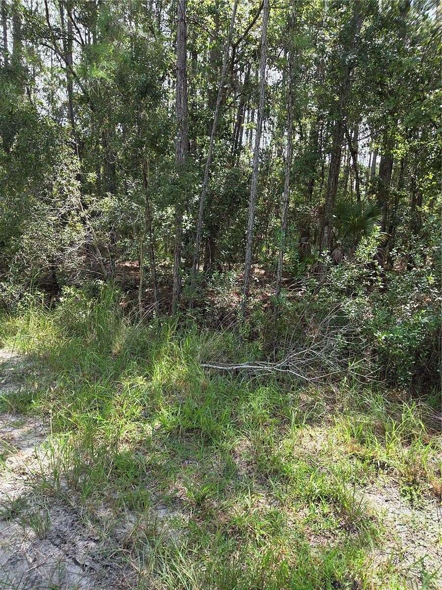 0.23 Acres of Residential Land for Sale in Ocala, Florida