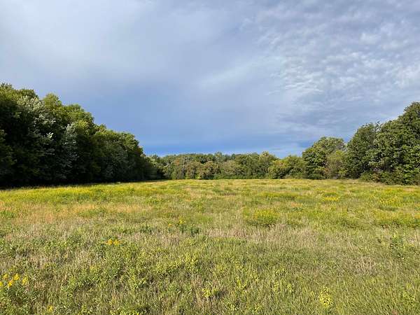 7 Acres of Residential Land for Sale in Foreston, Minnesota