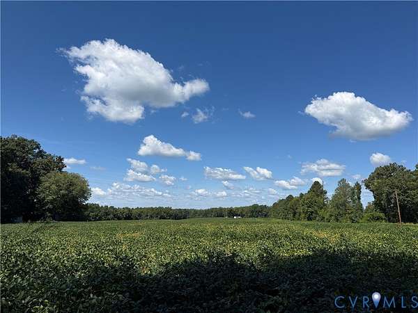 81.4 Acres of Improved Land for Sale in Beaverdam, Virginia