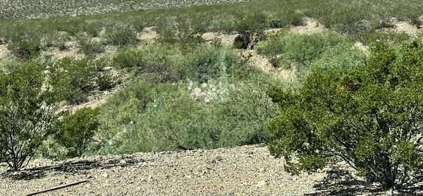 0.44 Acres of Residential Land for Sale in El Paso, Texas