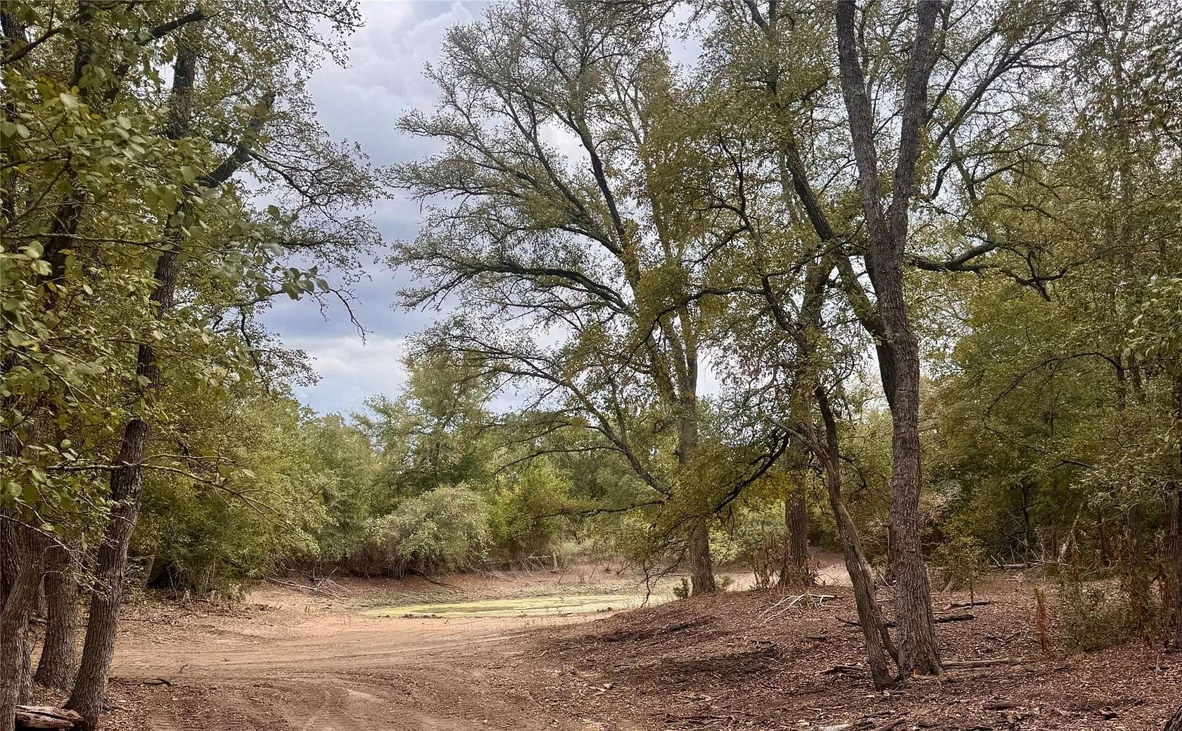 12 Acres of Land for Sale in Cedar Creek, Texas
