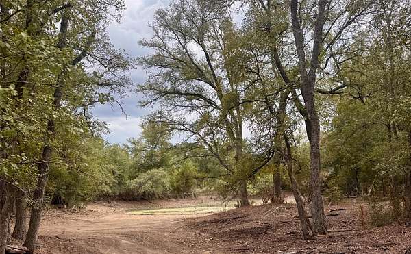12 Acres of Land for Sale in Cedar Creek, Texas