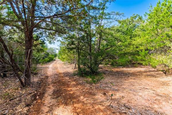 12 Acres of Land for Sale in Cedar Creek, Texas