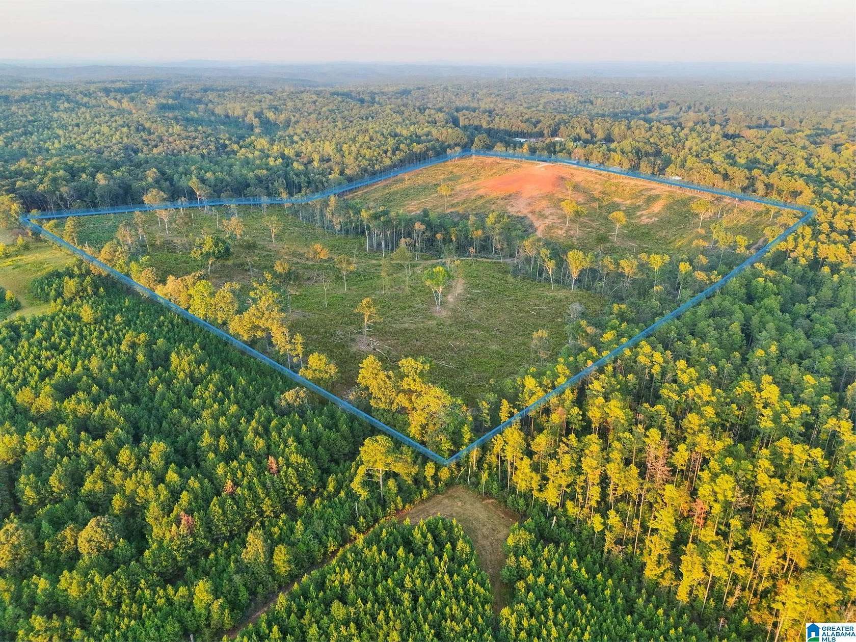 63.3 Acres of Land for Sale in Clanton, Alabama