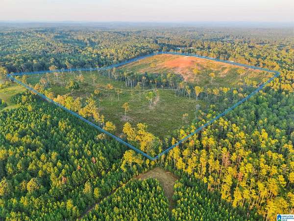 63.3 Acres of Land for Sale in Clanton, Alabama