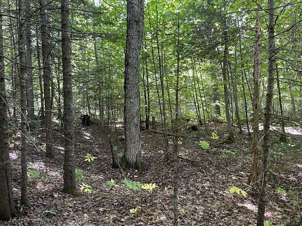 22 Acres of Recreational Land for Sale in Gould City, Michigan