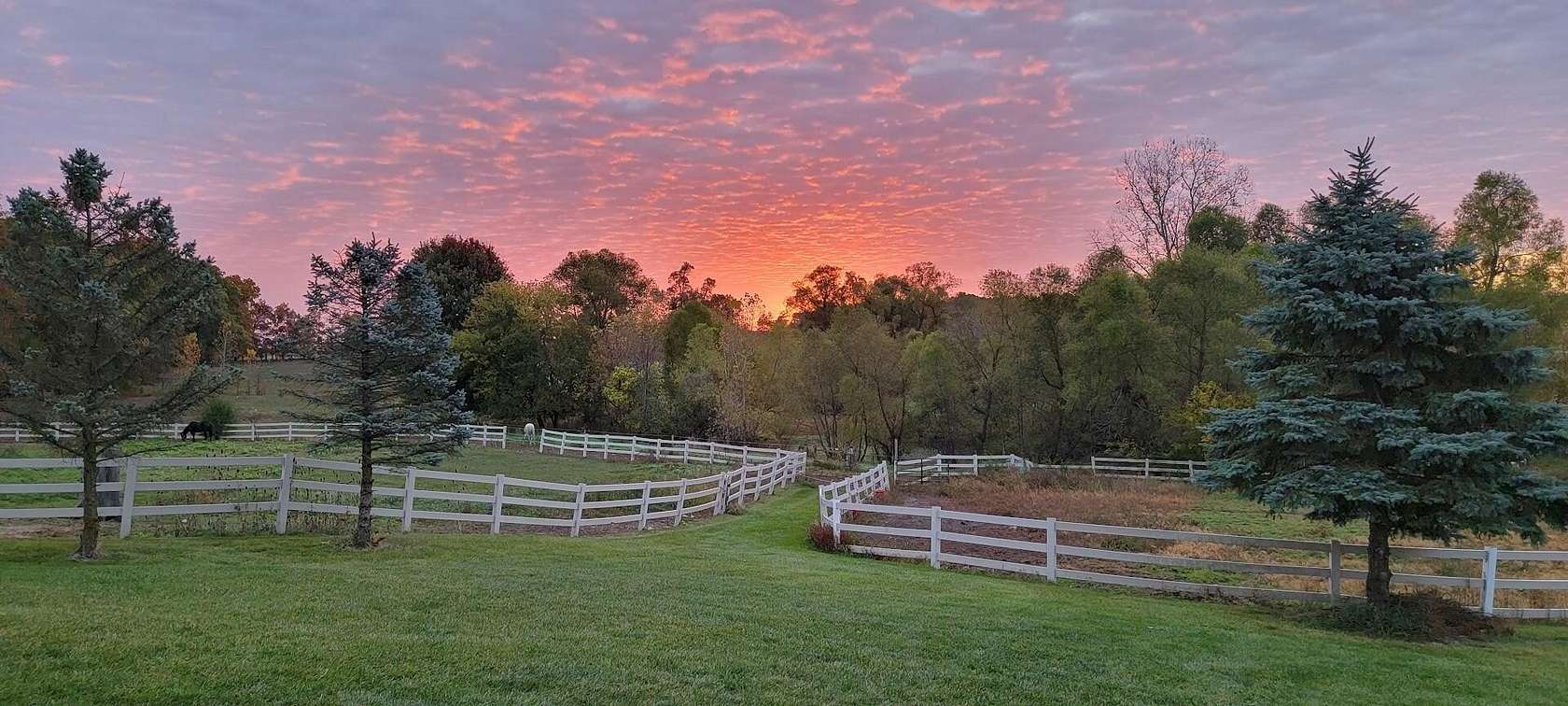 15 Acres of Land with Home for Sale in Saline, Michigan