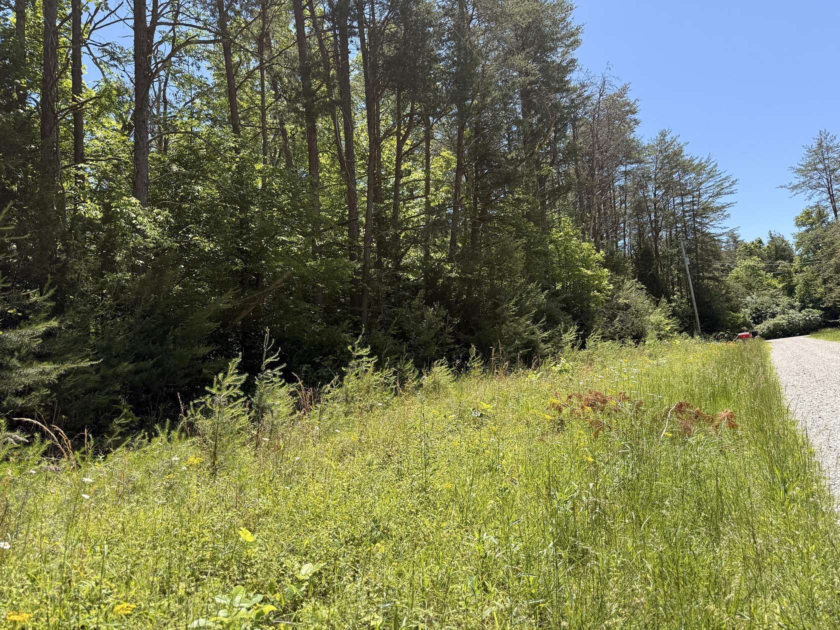 5 Acres of Land for Sale in Nancy, Kentucky