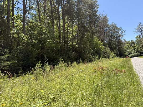 5 Acres of Land for Sale in Nancy, Kentucky