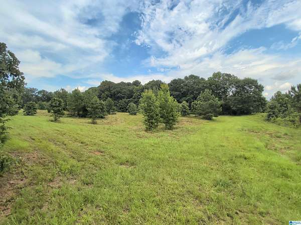 74 Acres of Land for Sale in Alpine, Alabama