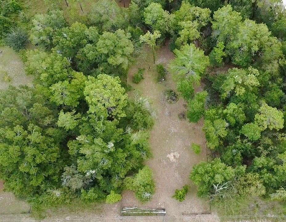 0.3 Acres of Residential Land for Sale in Williston, Florida