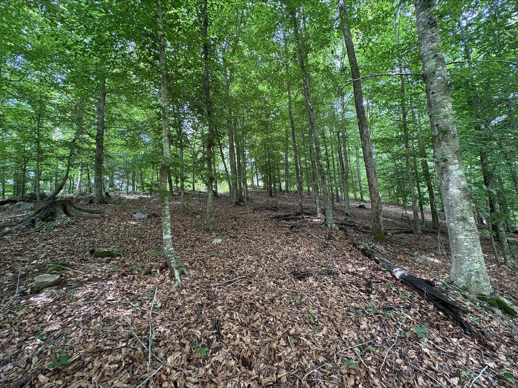 28.6 Acres of Recreational & Residential Land for Sale in Jacksonville, Alabama
