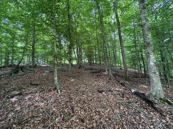 28.6 Acres of Recreational & Residential Land for Sale in Jacksonville, Alabama