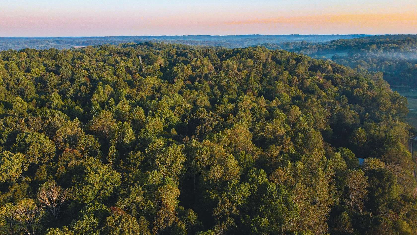 75 Acres of Land for Sale in Cumberland Furnace, Tennessee