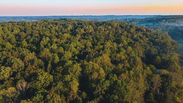 75 Acres of Land for Sale in Cumberland Furnace, Tennessee