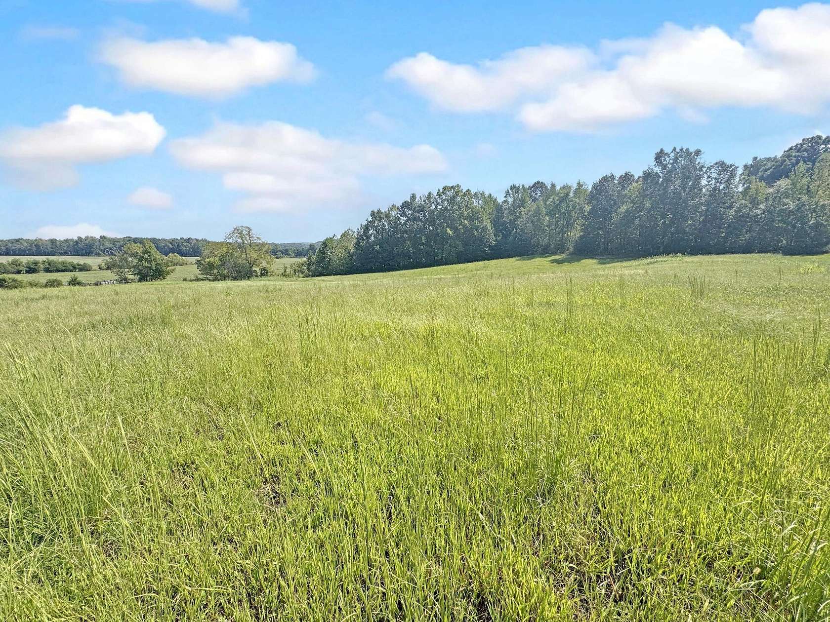 5 Acres of Residential Land for Sale in Princeton, Kentucky