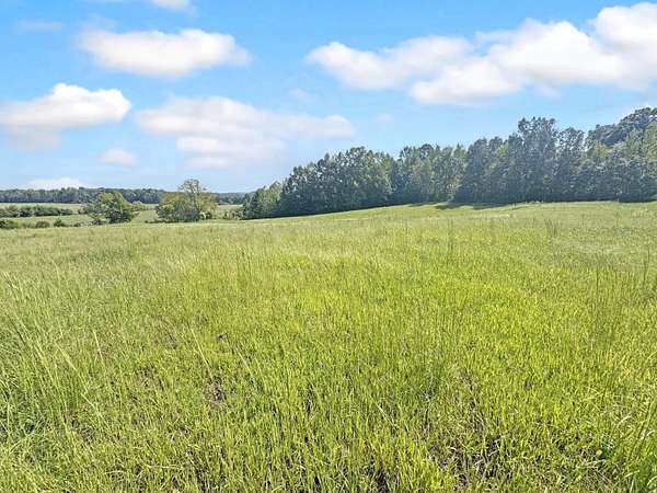 5 Acres of Residential Land for Sale in Princeton, Kentucky