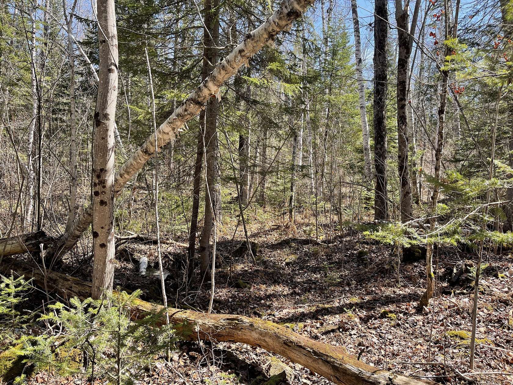 0.7 Acres of Residential Land for Sale in Rangeley, Maine