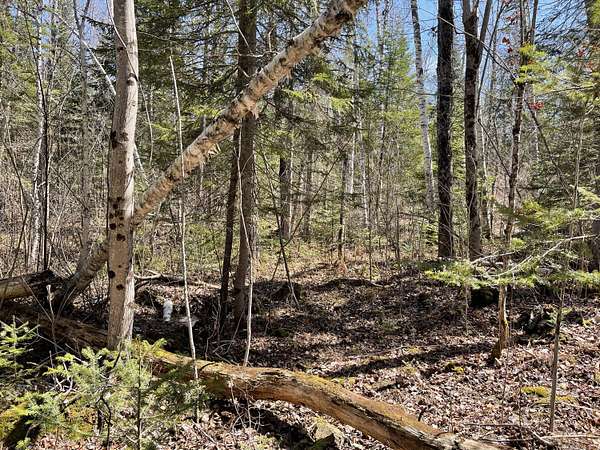 0.7 Acres of Residential Land for Sale in Rangeley, Maine