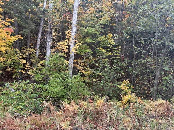 0.7 Acres of Residential Land for Sale in Rangeley, Maine