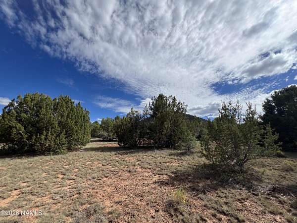 1 Acre of Land for Sale in Williams, Arizona