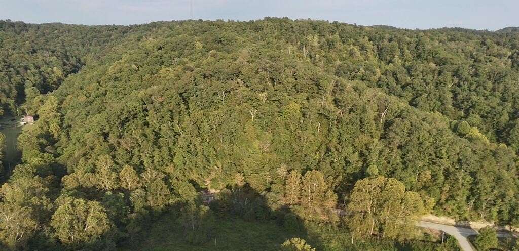 48 Acres of Recreational & Residential Land for Sale in Webbville, Kentucky