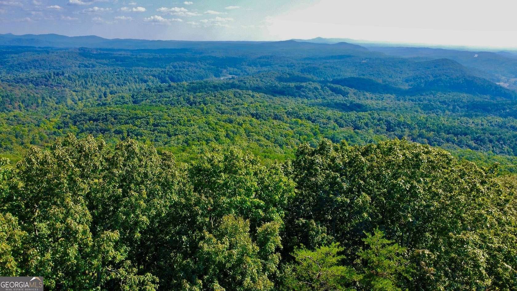 1 Acre of Residential Land for Sale in Ellijay, Georgia