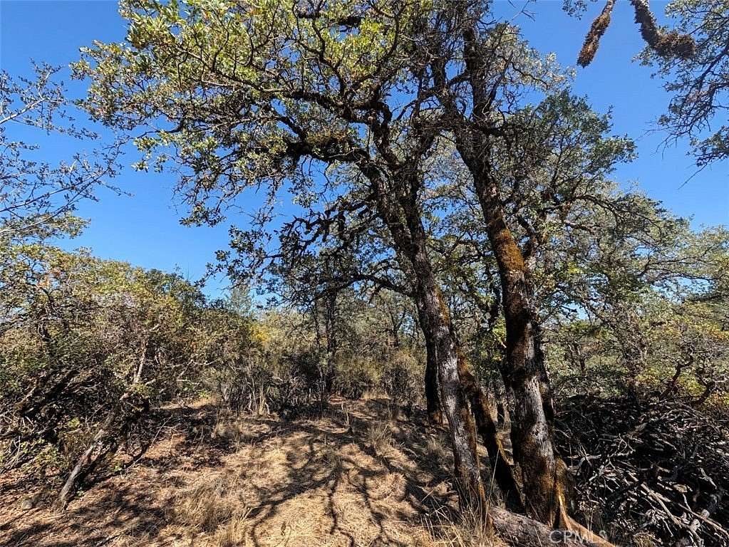 0.35 Acres of Residential Land for Sale in Cobb, California