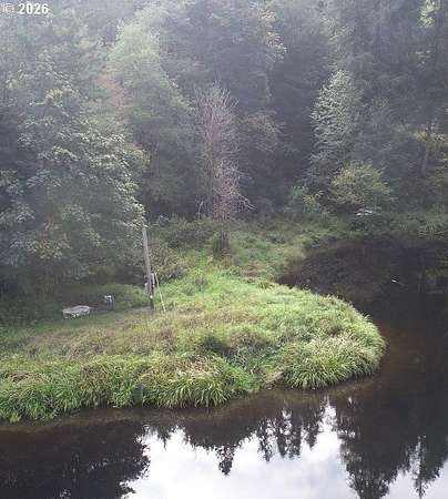 0.33 Acres of Residential Land for Sale in Birkenfeld, Oregon